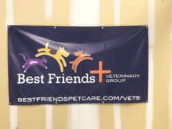 Custom Printed Banner for vet