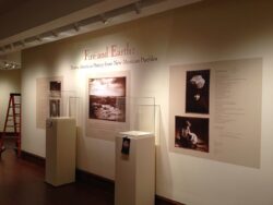 Custom Exhibits for museums